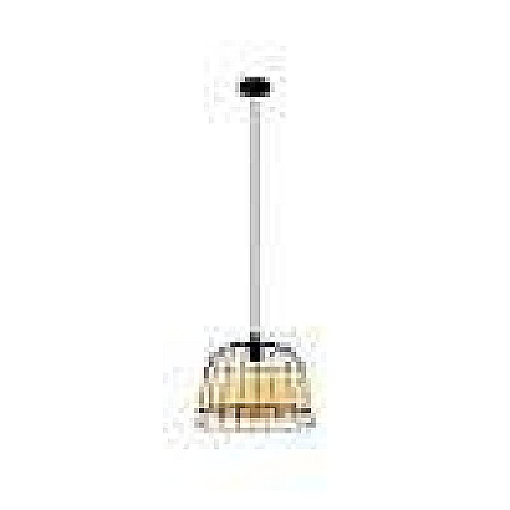 Lampadario Industrial Anwick Piccolo 1 Luce Metallo Nero