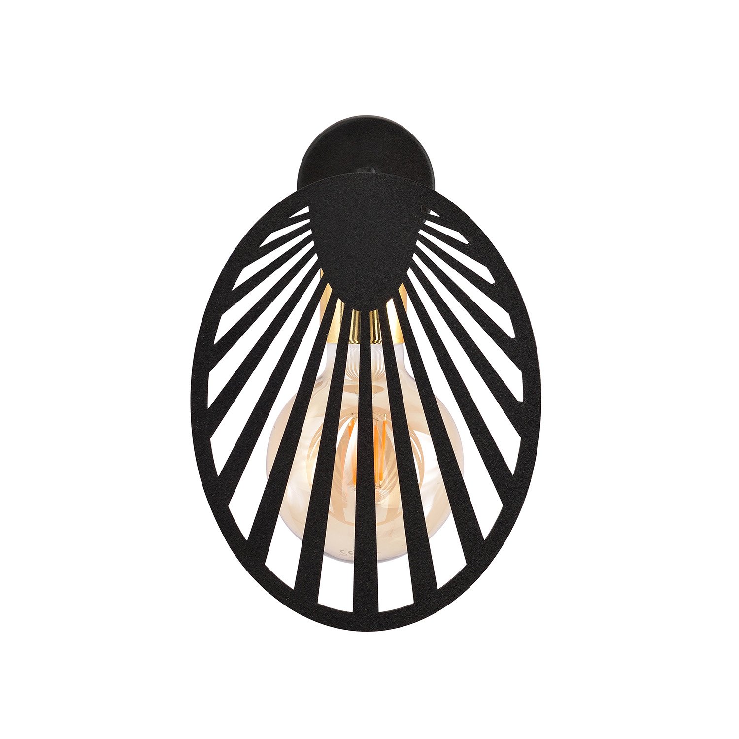 Applique Contemporanea 1 Luce Pegasus In Acciaio Nero E Oro 1146/K1