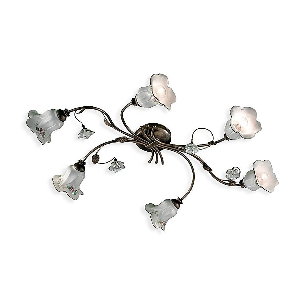 C1204-6-NO-13-DEC-COO