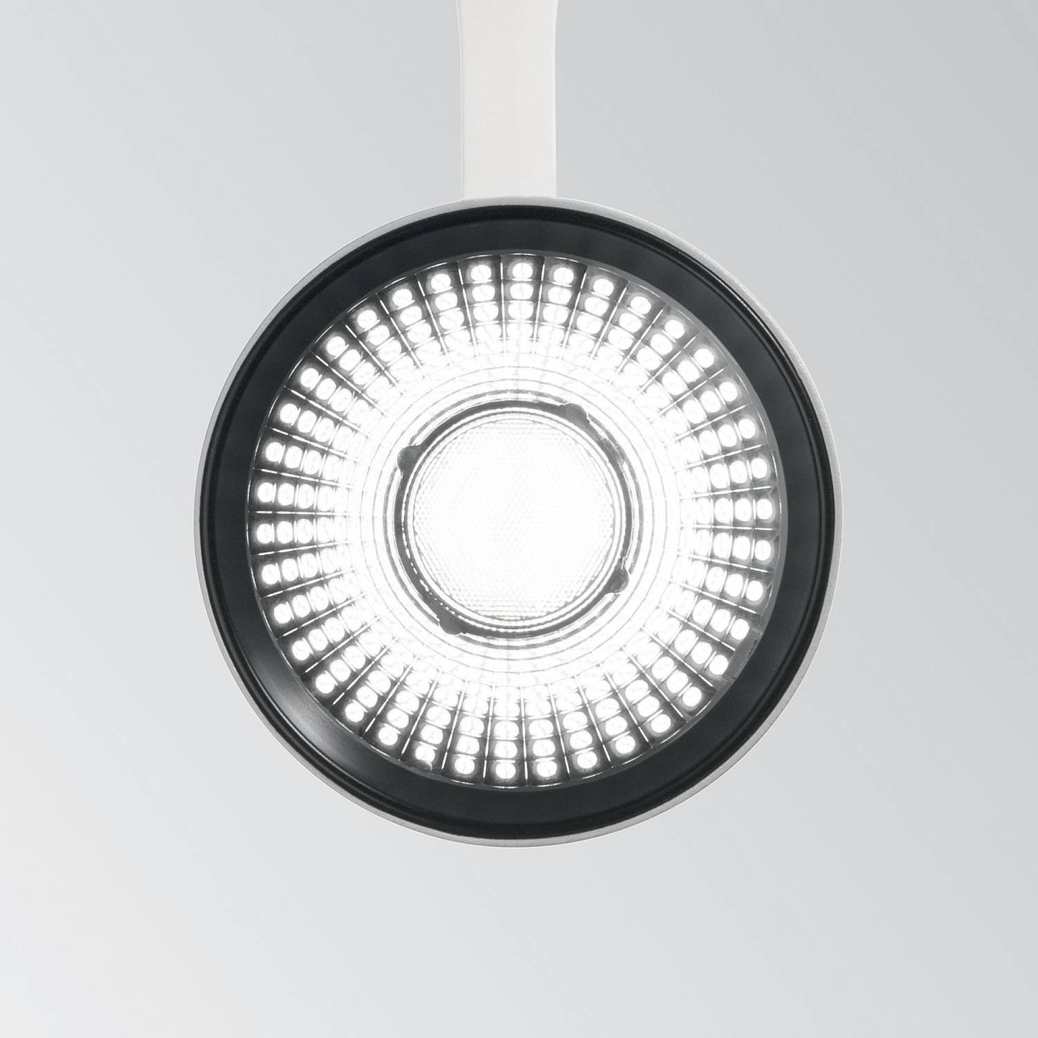 Faretto Su Binario Fox 1 Luce Led Integrato Bianco 25W 3000K 340944