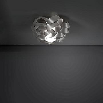 CLO/P/50/SVR