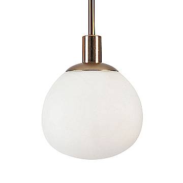 MOD221-PL-01-G