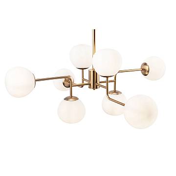 MOD221-PL-08-G