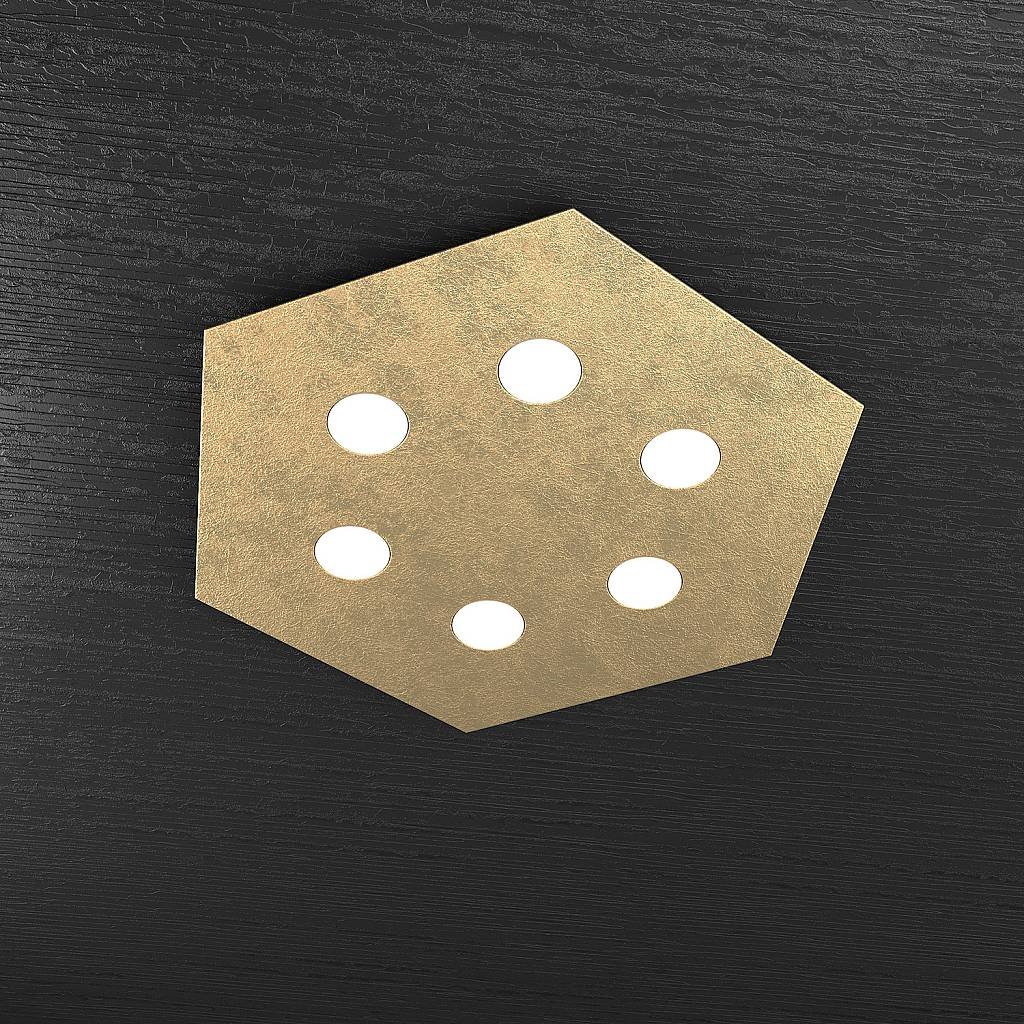 1142_PG-FO