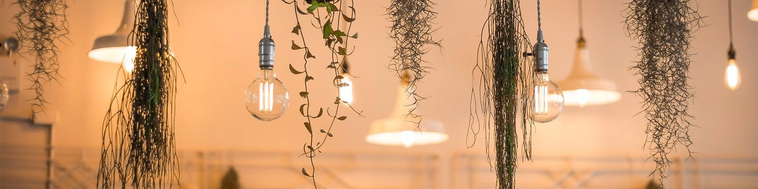 Illuminazione interni