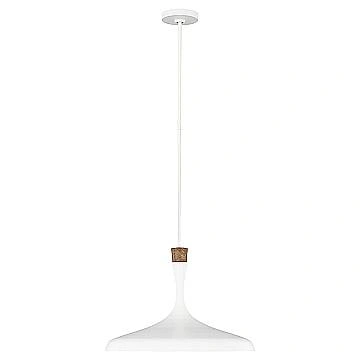 Sospensione Contemporanea Darwin Acciaio Bianco Opaco Legno 1 Luce E27