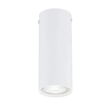 Plafoniera Moderna Faretto Mahadeva 1 Luce Acciaio Bianco 15 Cm Plafoniera Moderna Faretto Mahadeva 1 Luce Acciaio Bianco 15 Cm