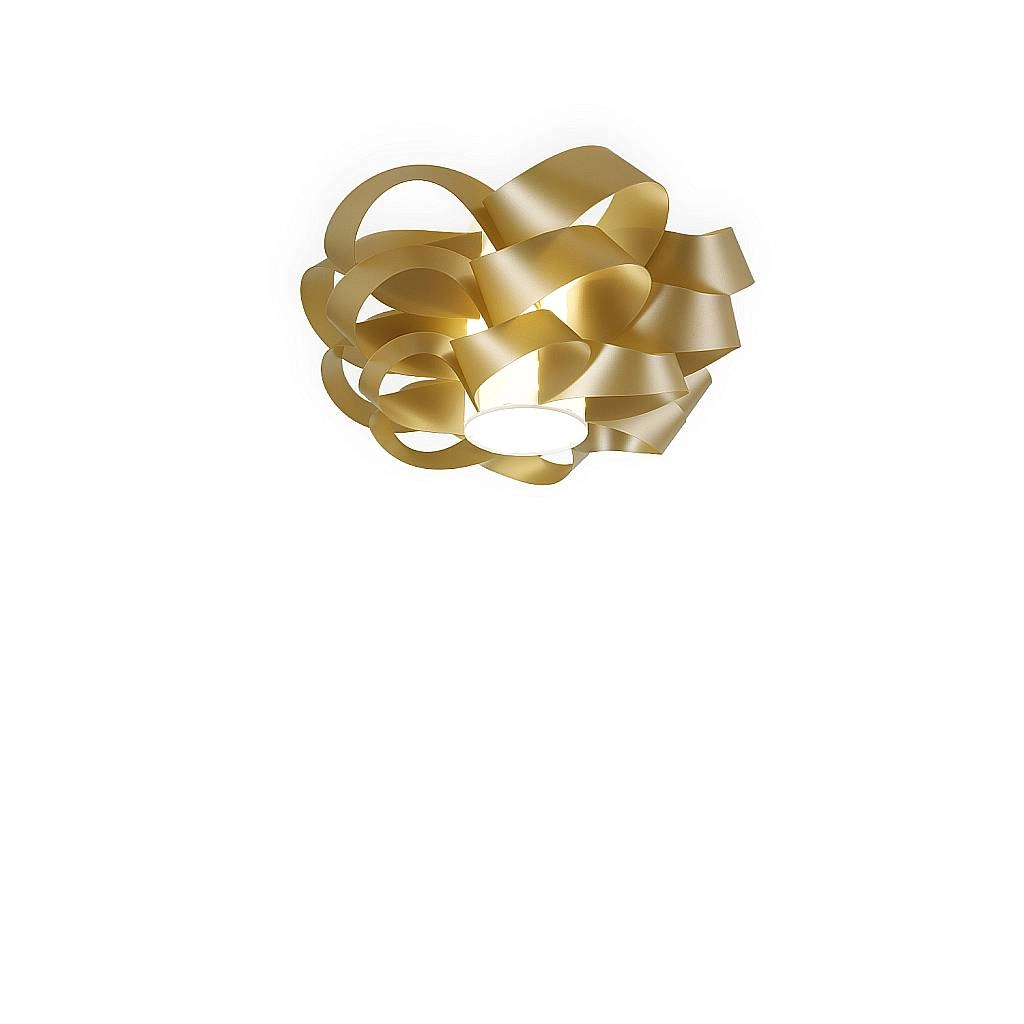CLO/P/40/NGLD