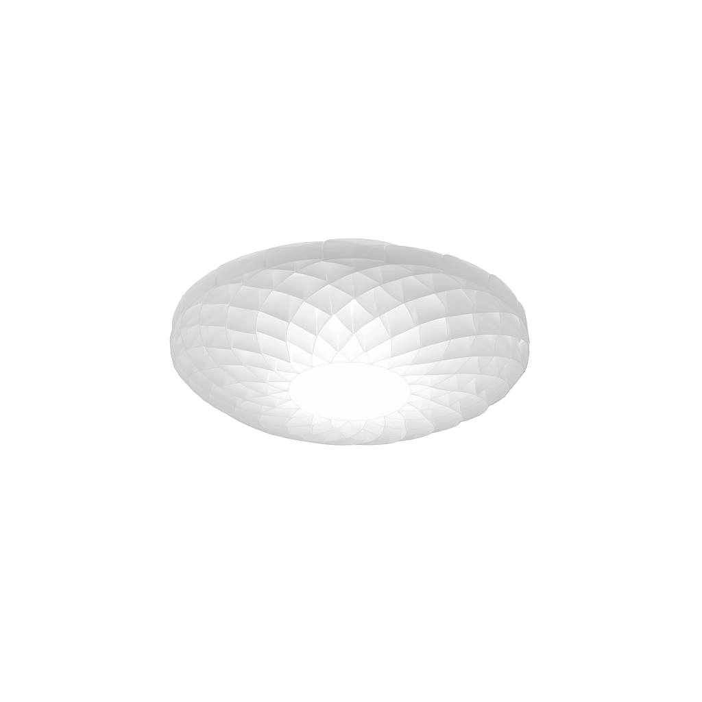 DALIA/AP/60/DIM/W