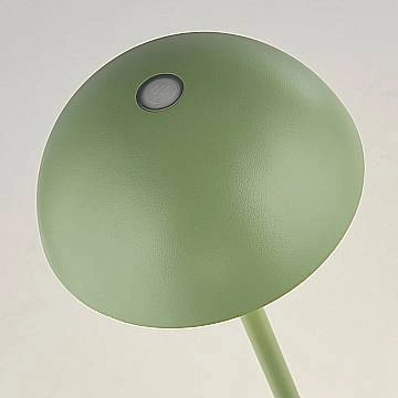 78131GR