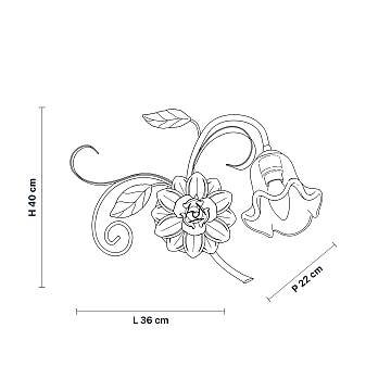 BL274-AP1-BCO