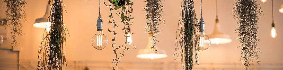 Lampadari e Sospensioni