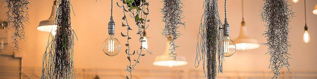 Lampadari e Sospensioni Lampadari e Sospensioni