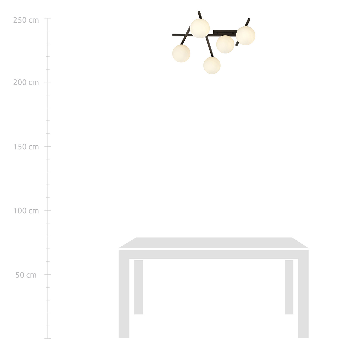Plafoniera Moderna 5 Luci Teti In Acciaio Nero Bracci Regolabili E Vetro Opale LA0103-EB-PL5-NR