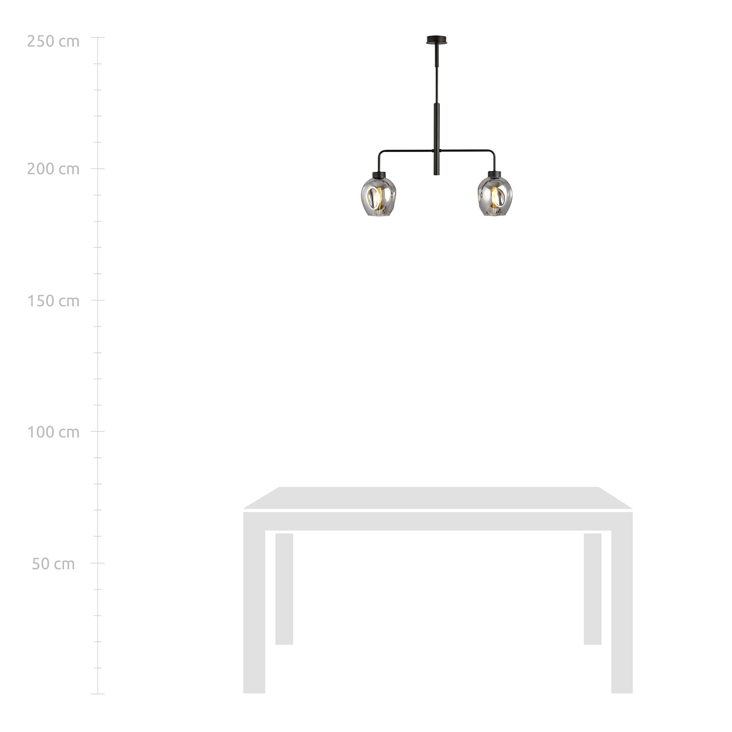 Lampadario Moderno 2 Luci Auriga In Accaio Nero E Vetro Fumè LA0119-EB-2-NR-GR