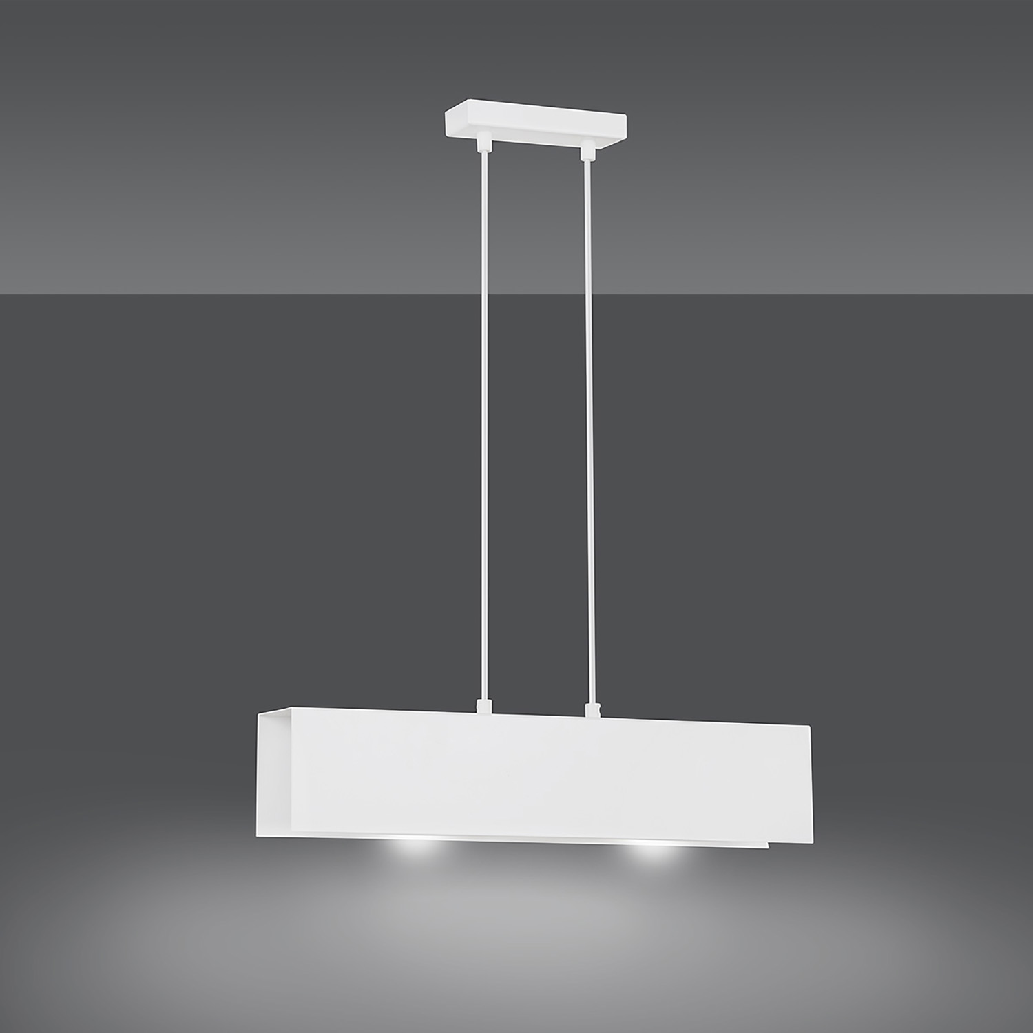 Lampadario Moderno 2 Luci Hachiman In Acciaio Bianco LA0145-EB-2-BI