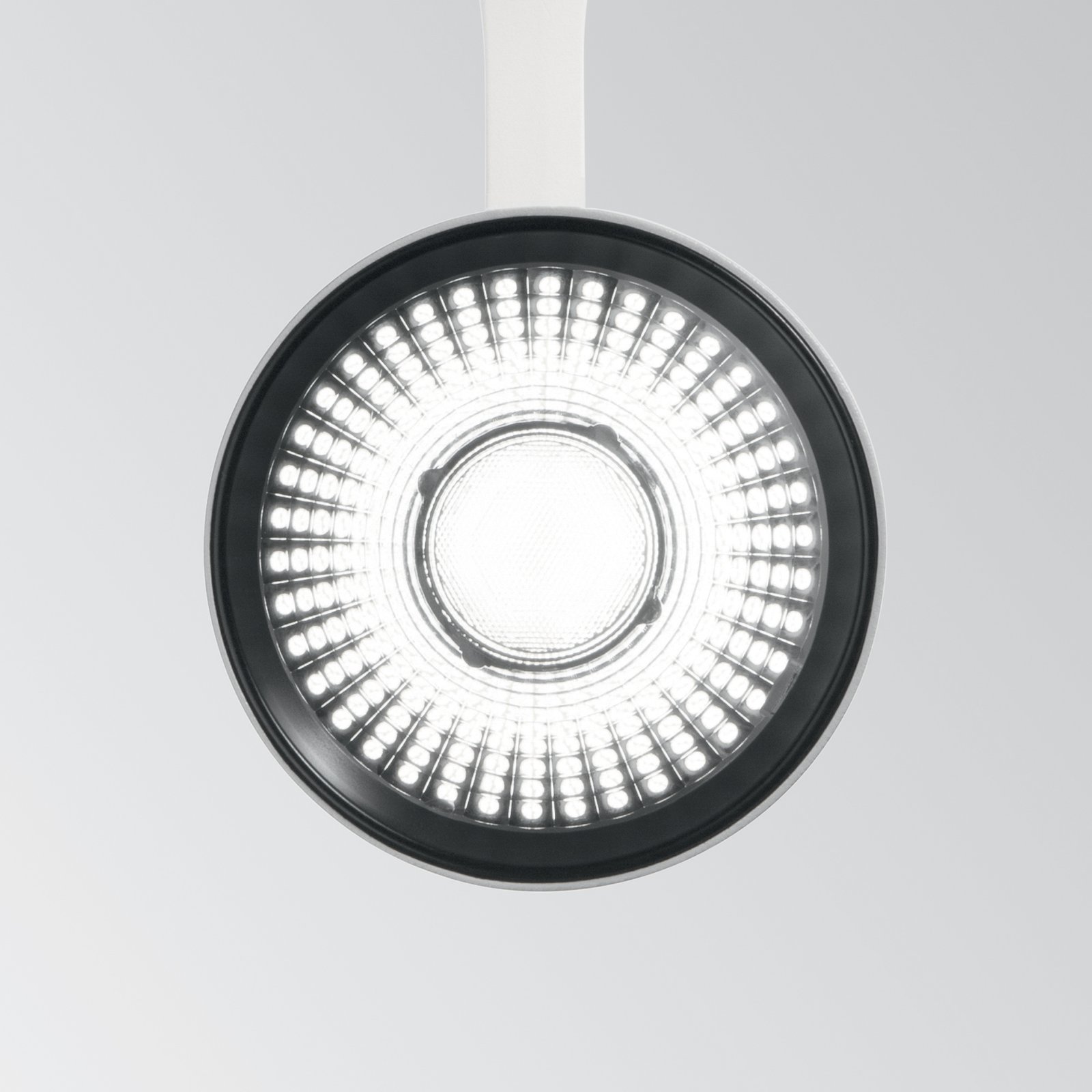Faretto A Binario Fox 1 Luce Led Integrato Nero 25W Ip20 340937